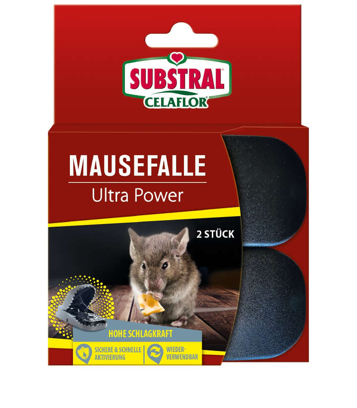 SUBSTRAL Celaflor Mausefalle Ultra Power